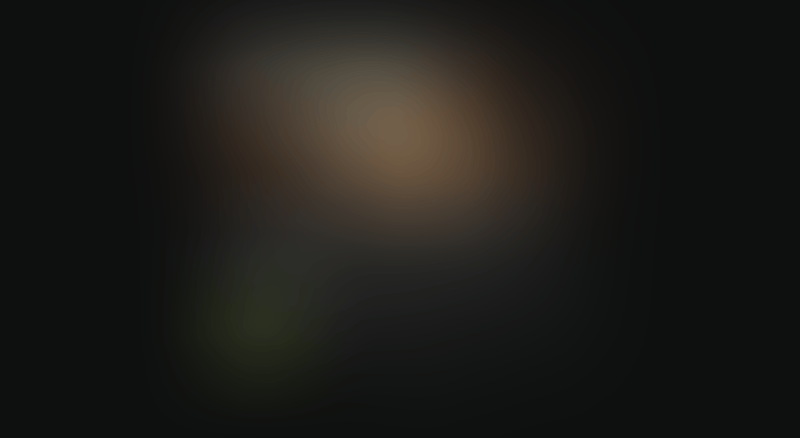 Meiro
			  ux ui design