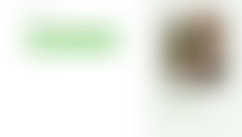 Bonsai
			         ux ui design