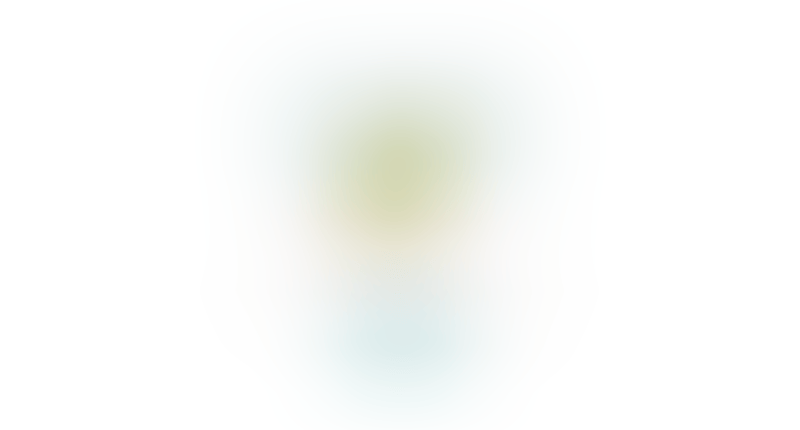 Typeform
			     ux ui design