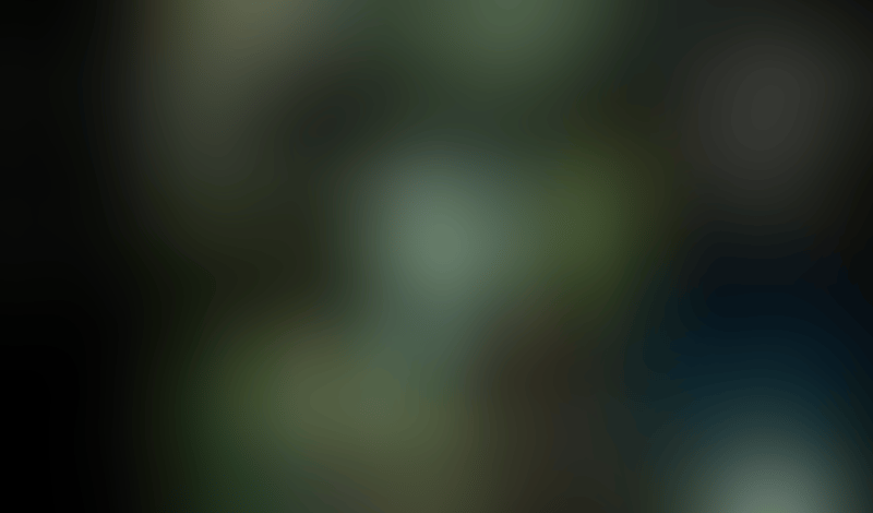 Sora
			                 ux ui design