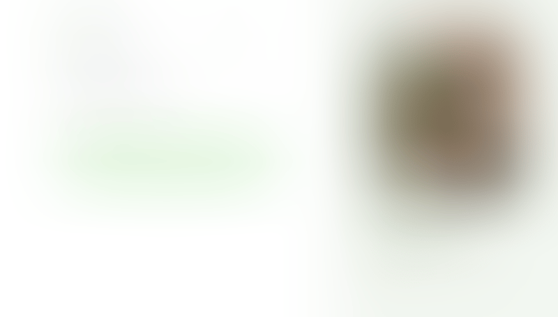 Bonsai
			          ux ui design