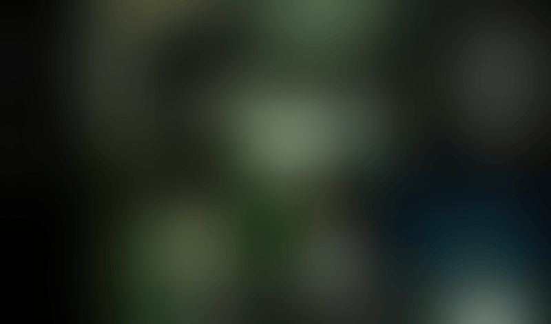 Sora
			             ux ui design