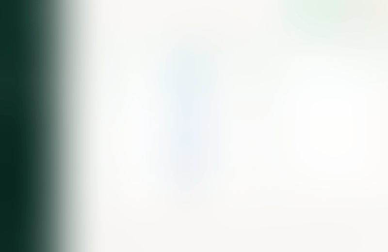 Expensify
			             ux ui design