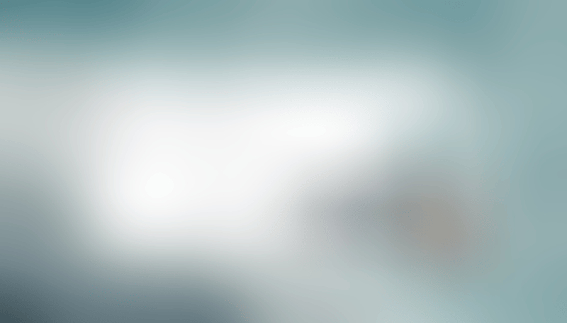 Shuttle
			       ux ui design