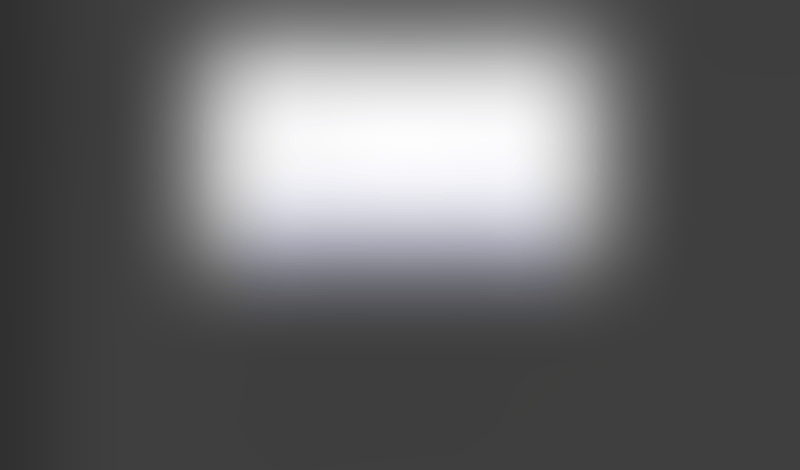 Lingo
			   ux ui design