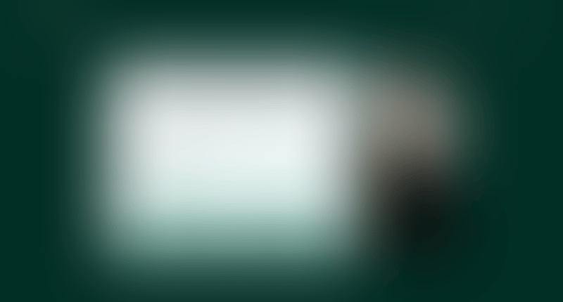 Shopify
			           ux ui design