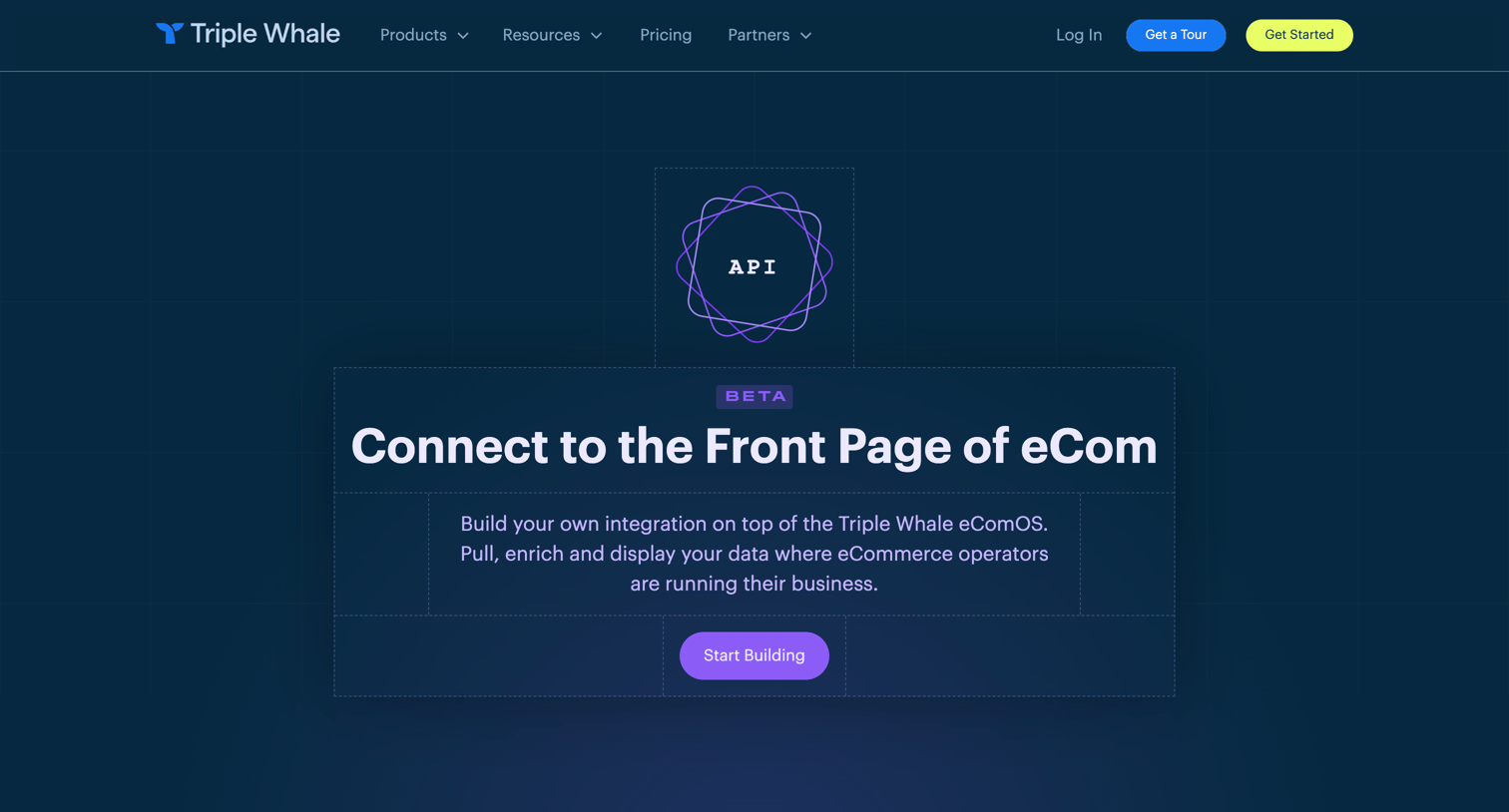 Triple Whale - API - The Ultimate eCom Data Connector screen