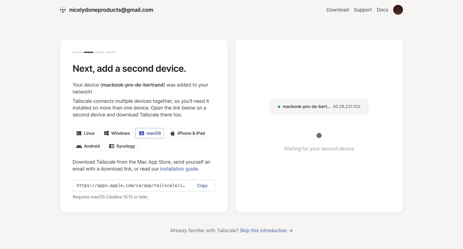 Tailscale screen