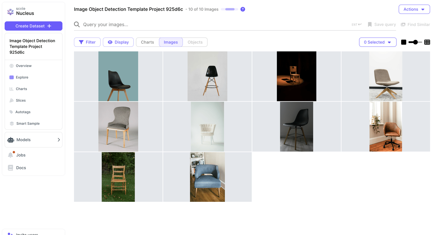 Scale - Image Object Detection Template Project 925d6c - Nucleus screen