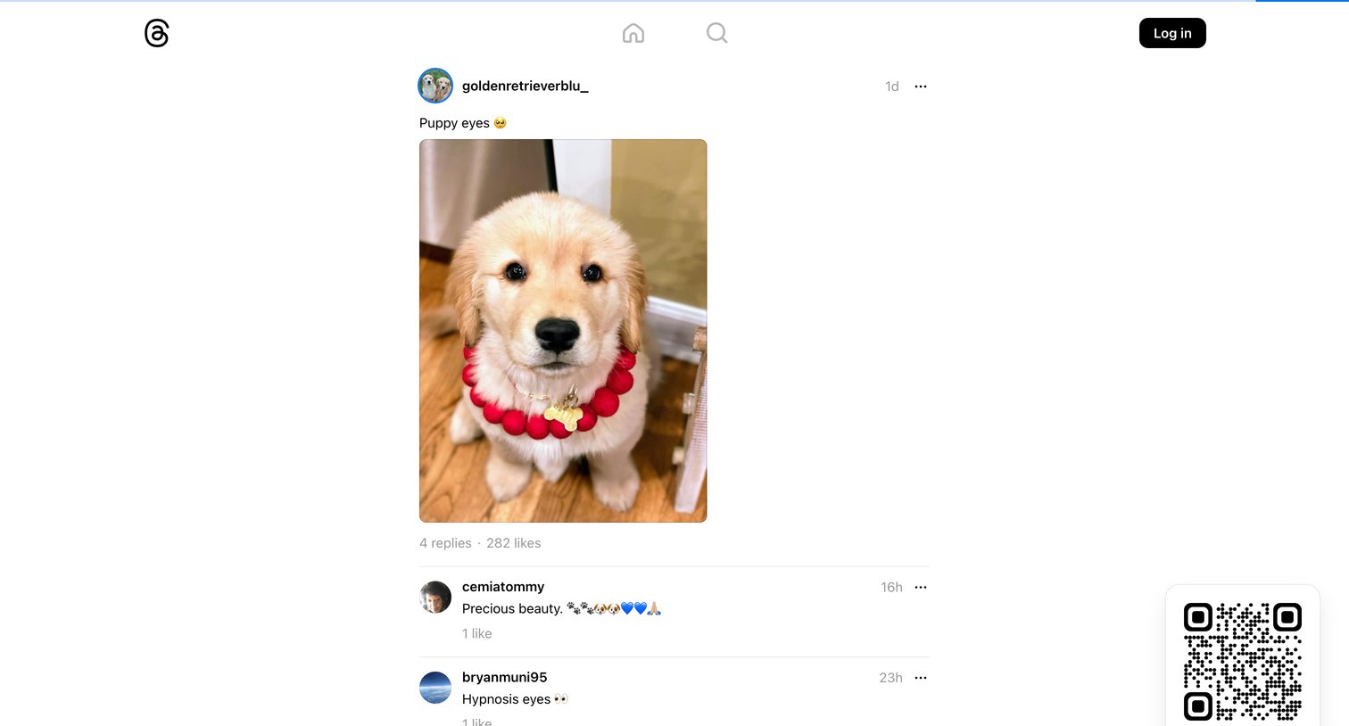 Threads - @goldenretrieverblu_ • Puppy eyes | • Threads screen