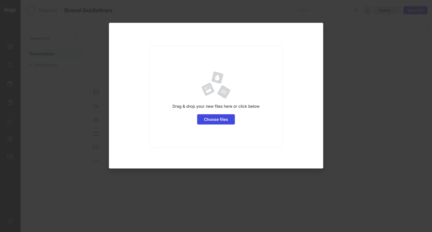 Lingo - Brand Guidelines: Presentation screen