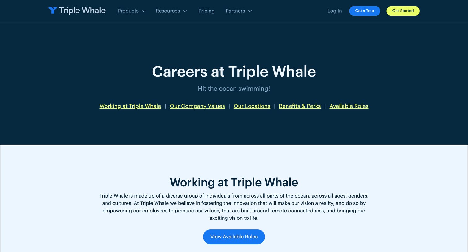 Triple Whale - Careers | Triple Whale screen
