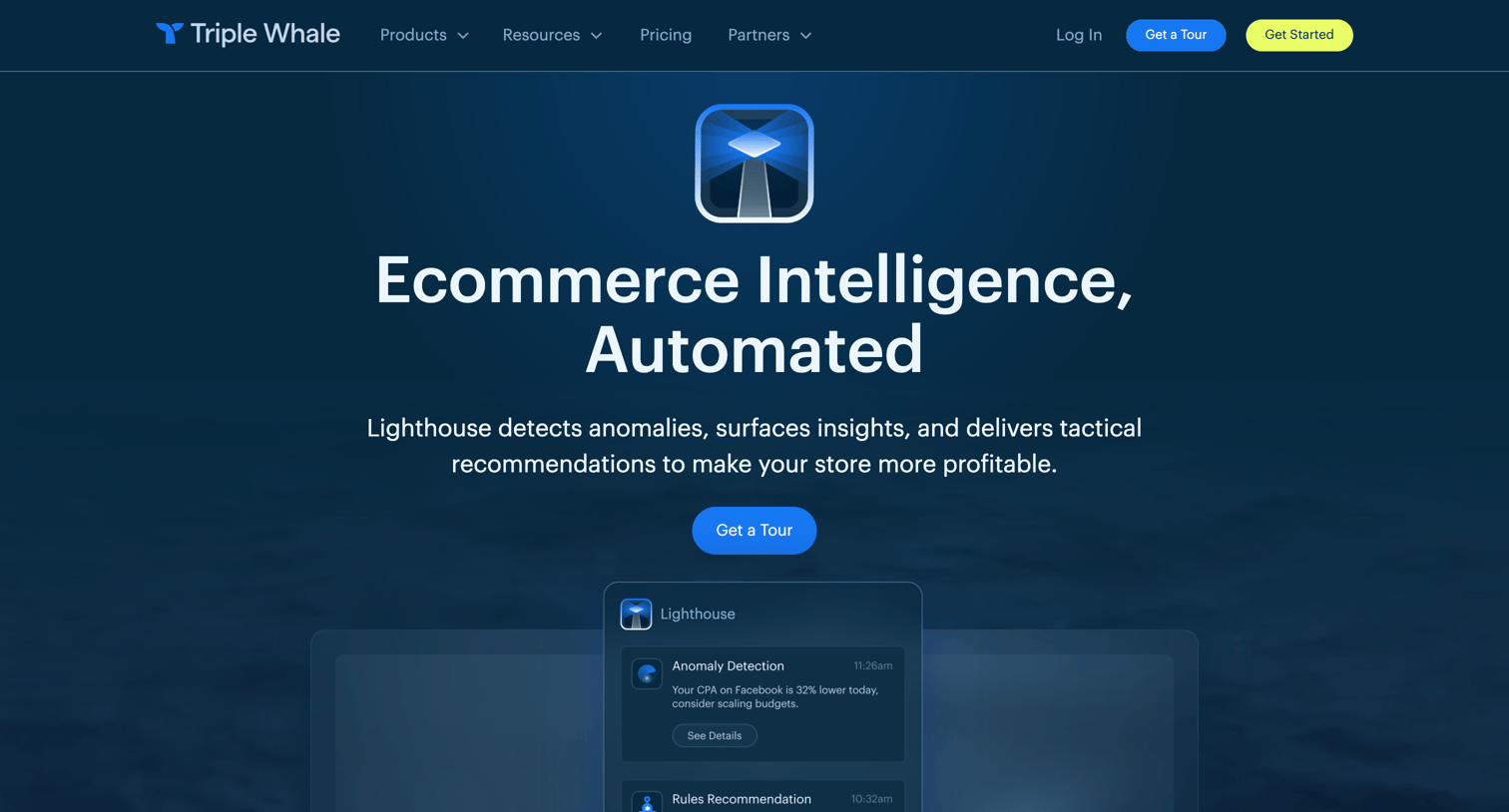 Triple Whale - Lighthouse | Ecommerce Intelligence, Automated screen