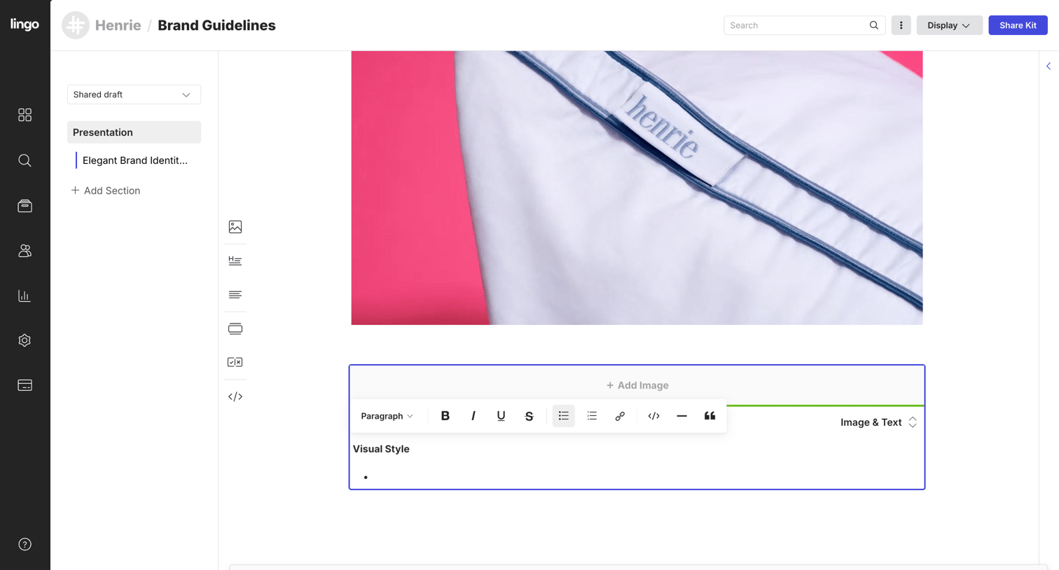 Lingo - Brand Guidelines: Presentation screen