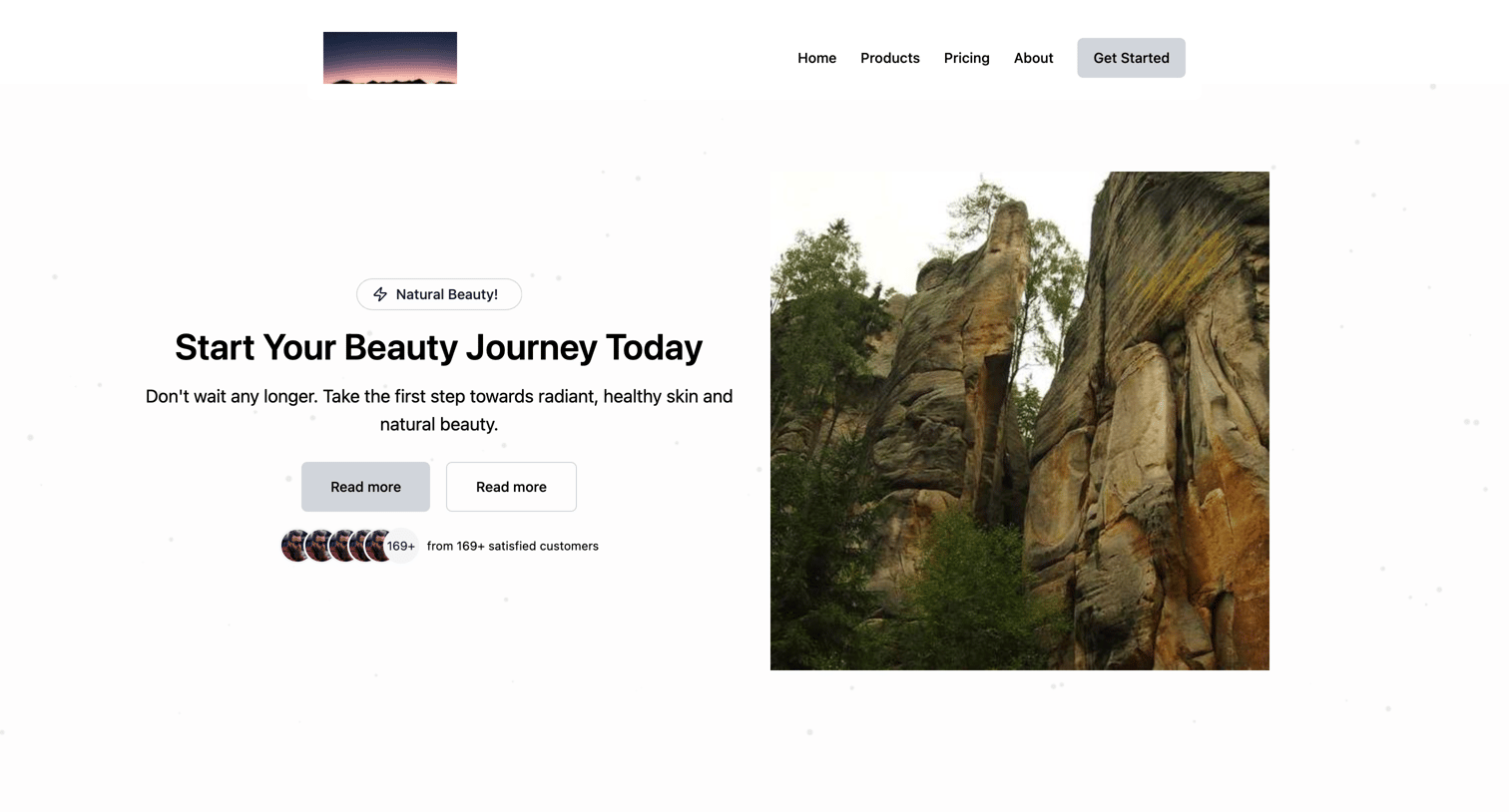 Bird - Landing page screen