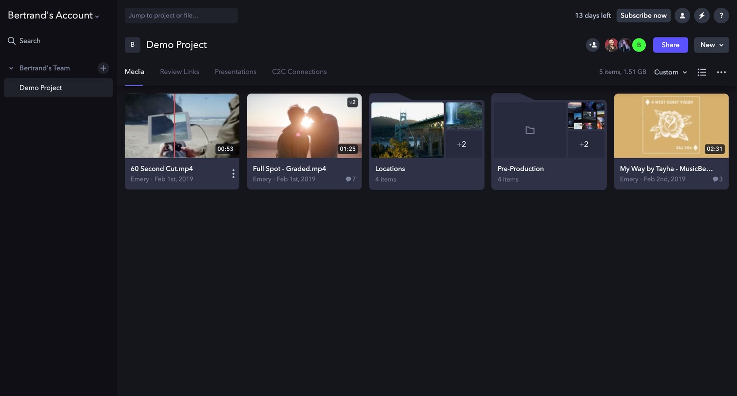 Frame.io - Demo Project - Frame.io screen