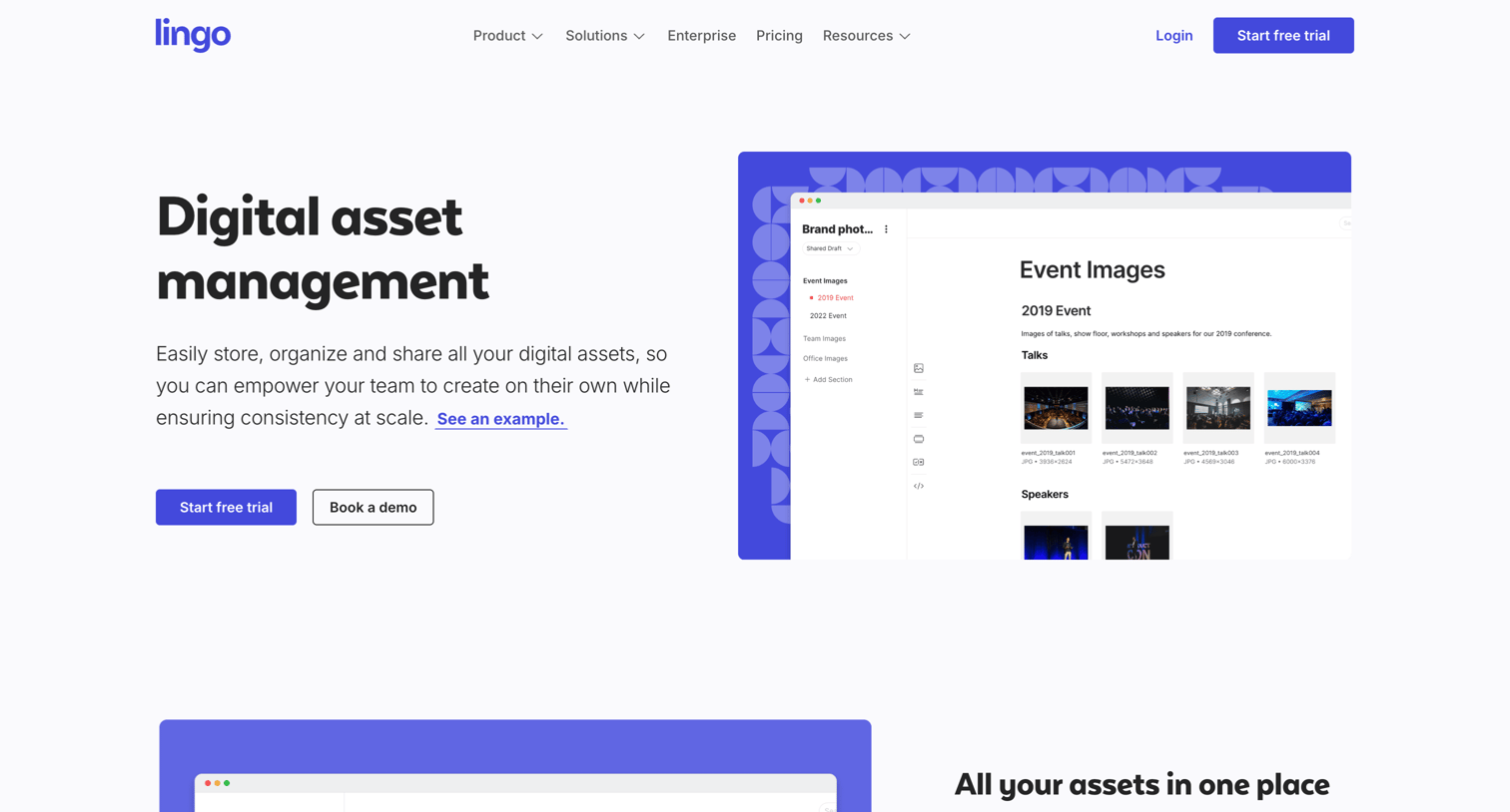 Lingo - Digital Asset Management Software & Systems Lingo screen