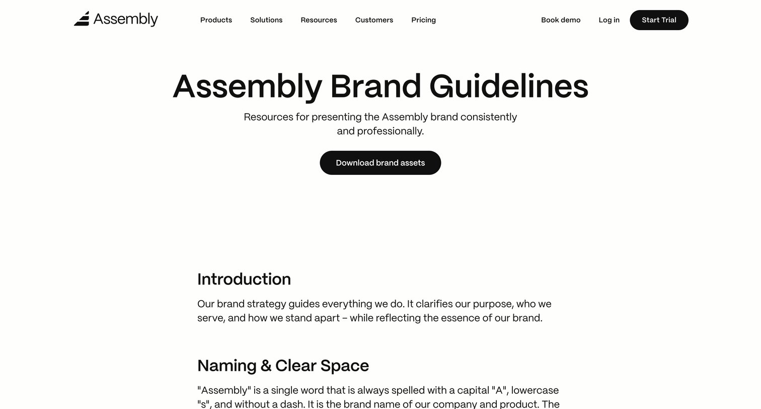 Assembly AI App Builder - Assembly Brand Guidelines screen