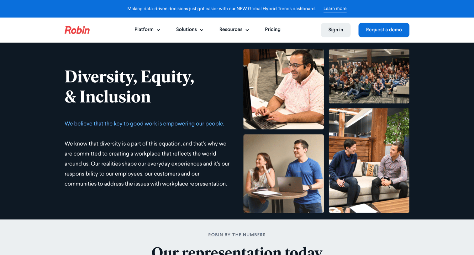Robin - Diversity, Equity, | Inclusion screen