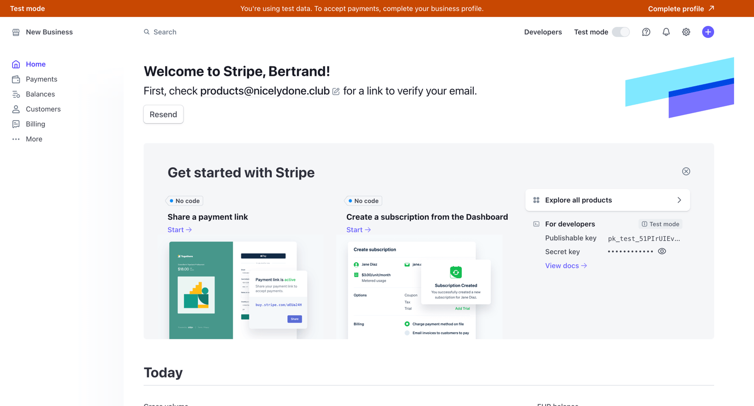 Stripe - Home – New Business – Stripe [Test] screen