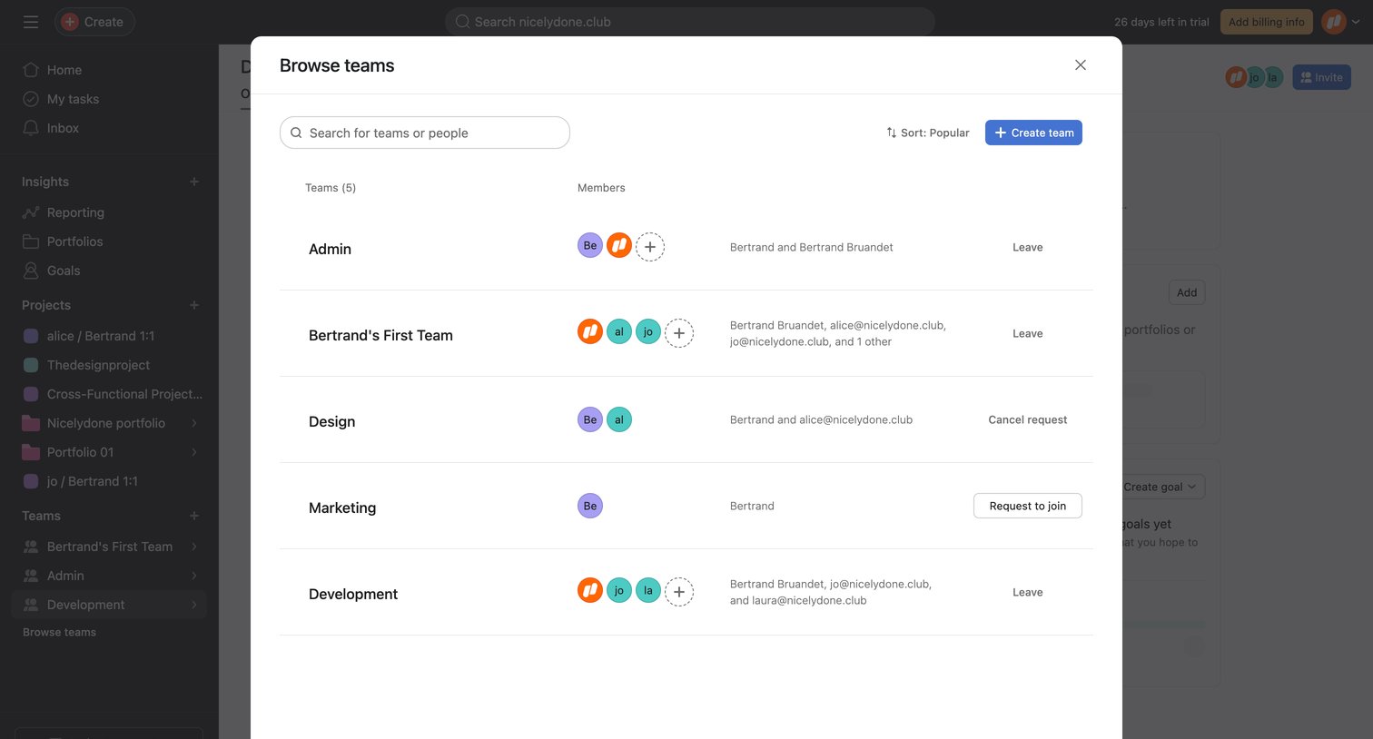 Development Team - Asana from Asana