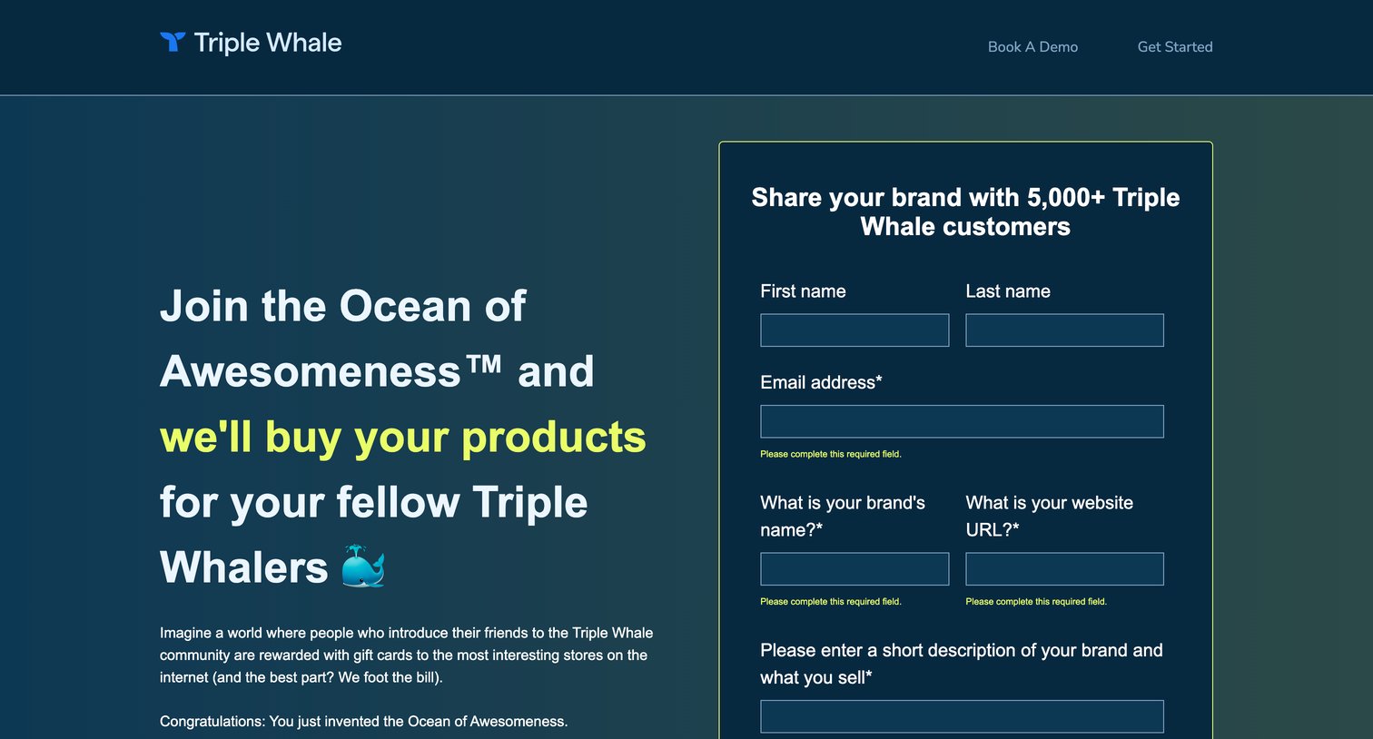 Triple Whale - Ocean of Awesomeness | Triple Whale screen