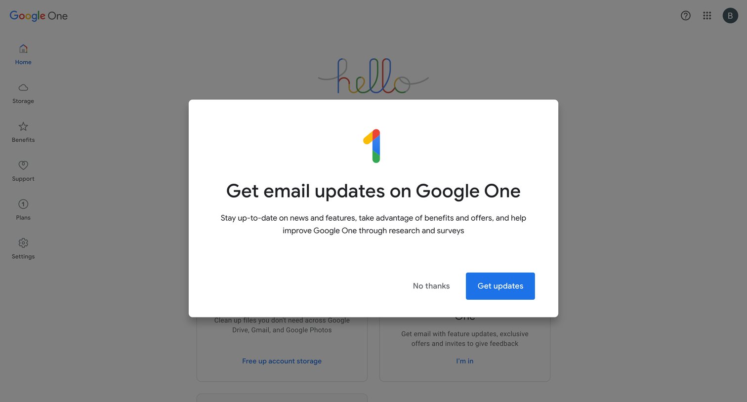 Google One screen