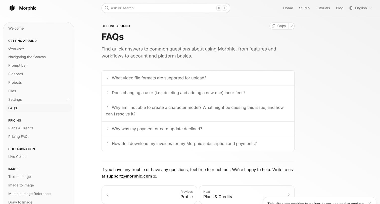 Morphic - FAQs Morphic screen