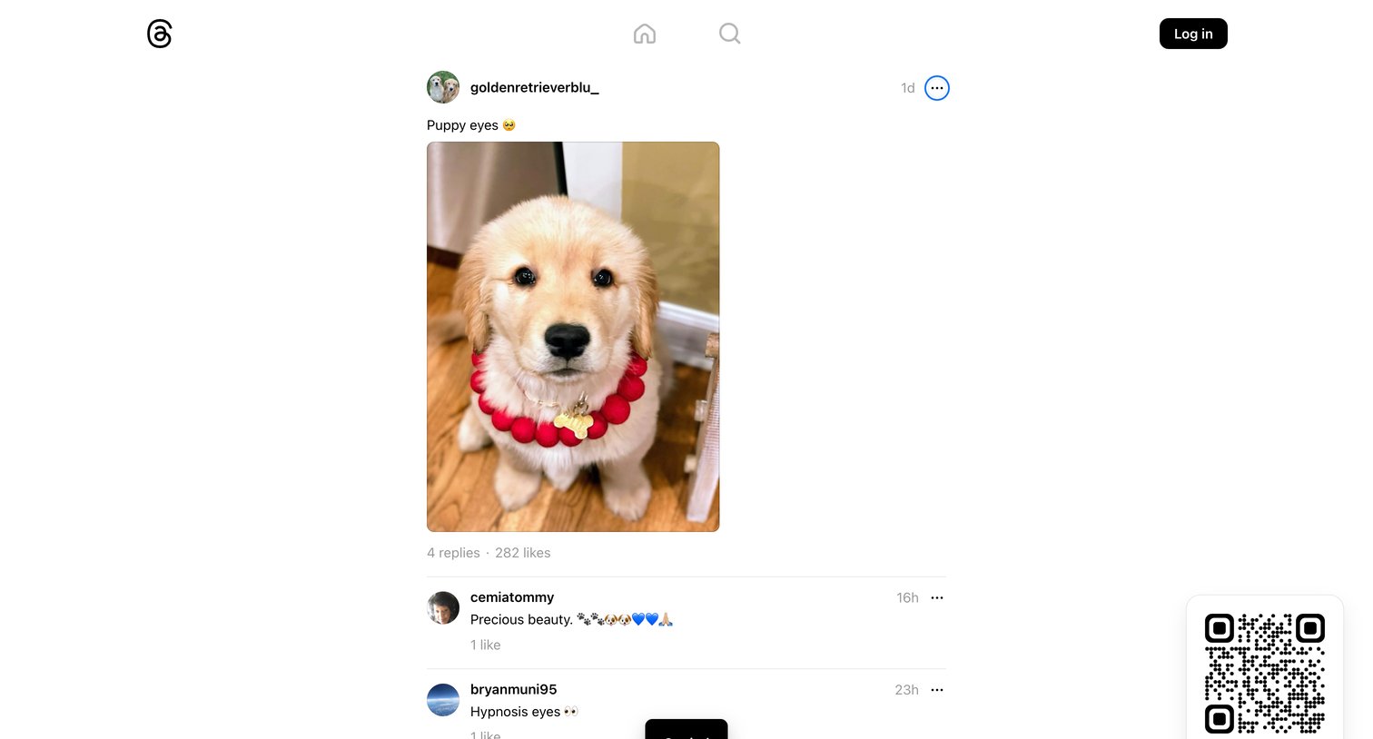 Threads - @goldenretrieverblu_ • Puppy eyes | • Threads screen