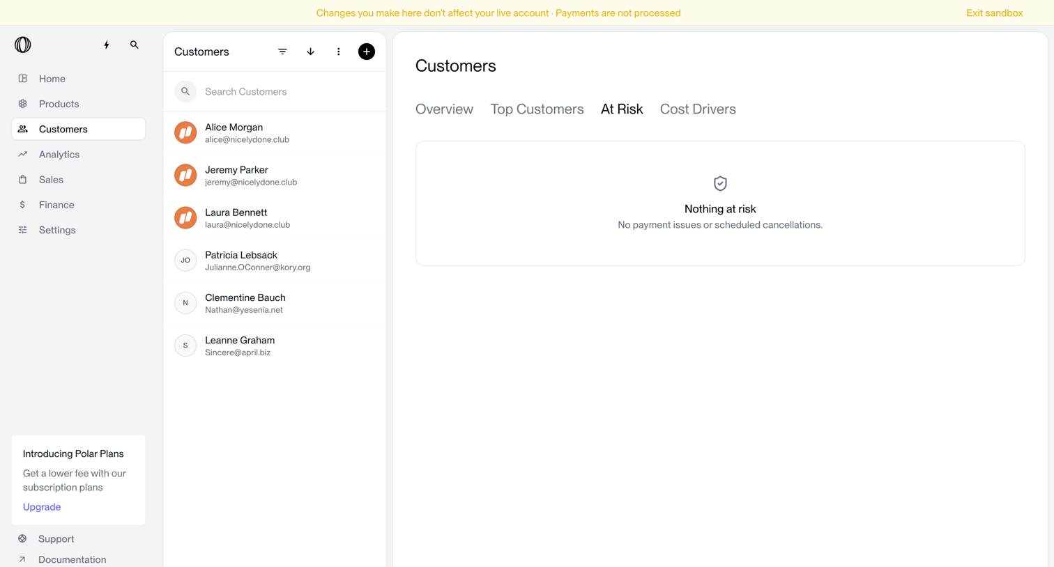 Polar - At Risk Customers | Nicelydone | Polar screen