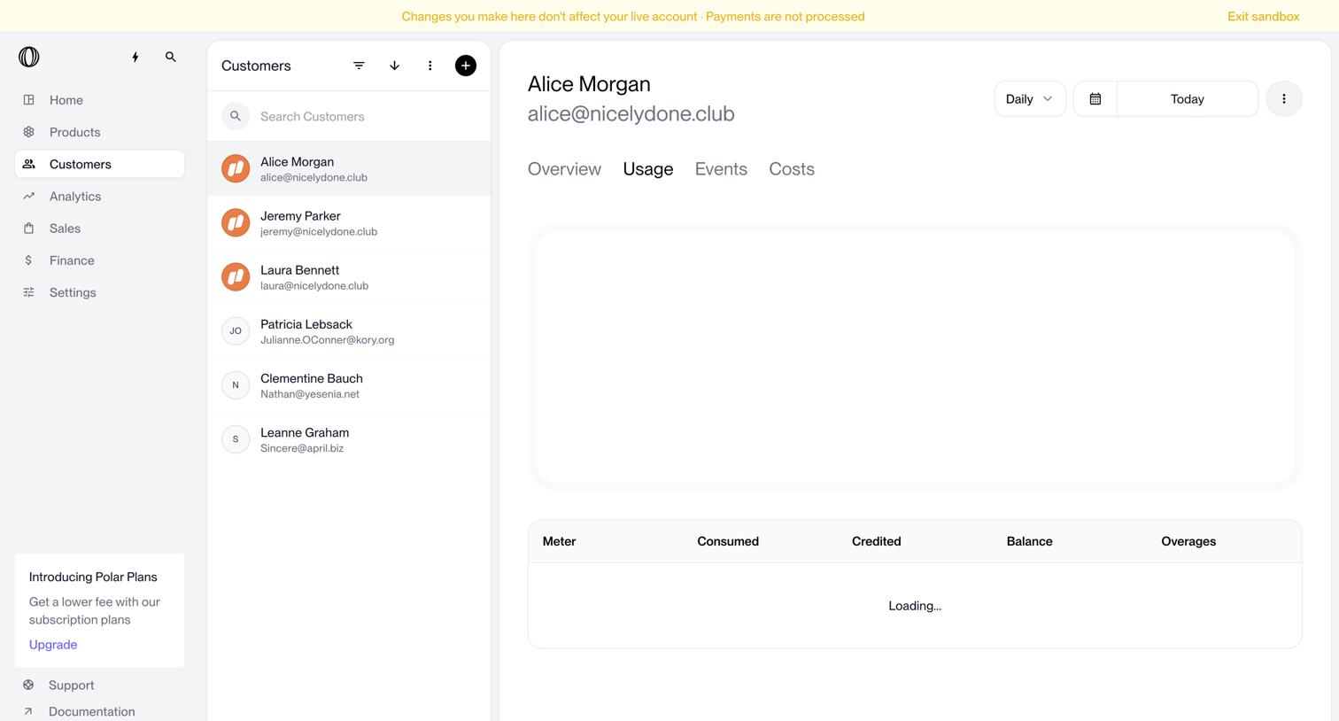 Polar - Alice Morgan · Usage | Nicelydone | Polar screen