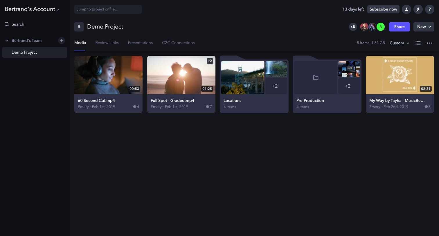 Frame.io - Demo Project - Frame.io screen