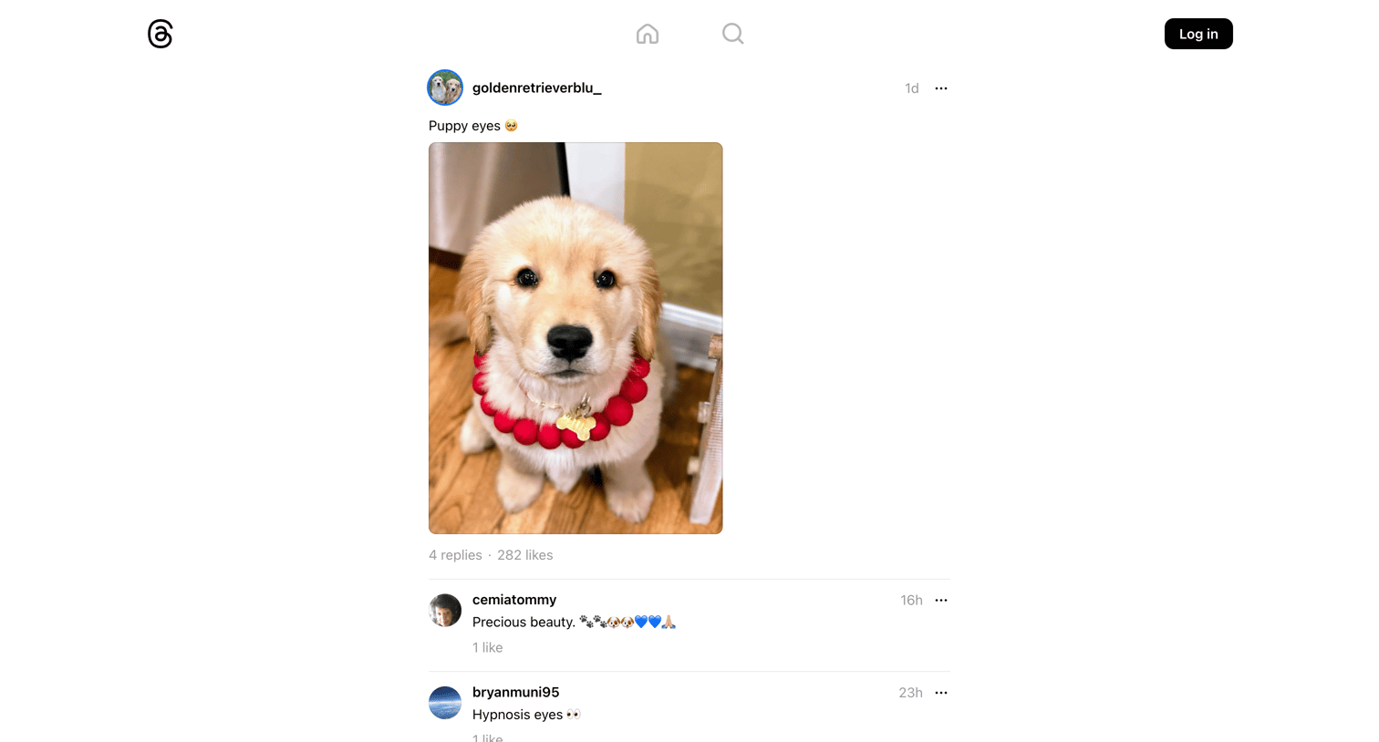 Threads - @goldenretrieverblu_ • Puppy eyes | • Threads screen
