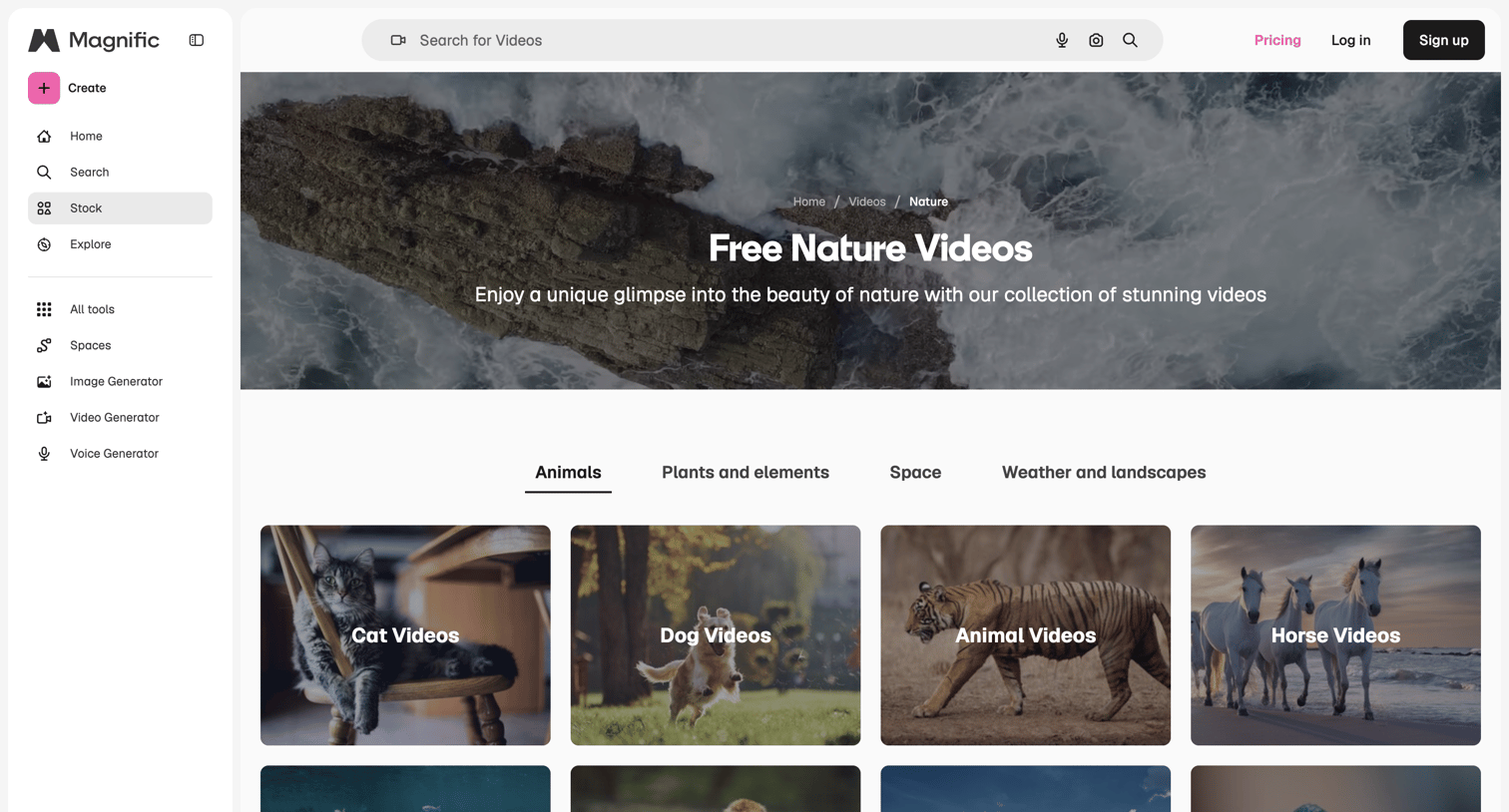 Magnific - Free Nature Videos in HD and 4K to download | Magnific screen