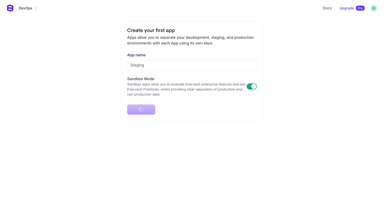 Evervault screen