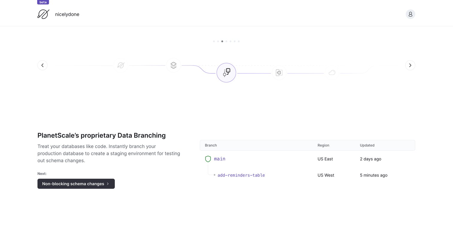 PlanetScale - nicelydone overview - PlanetScale screen