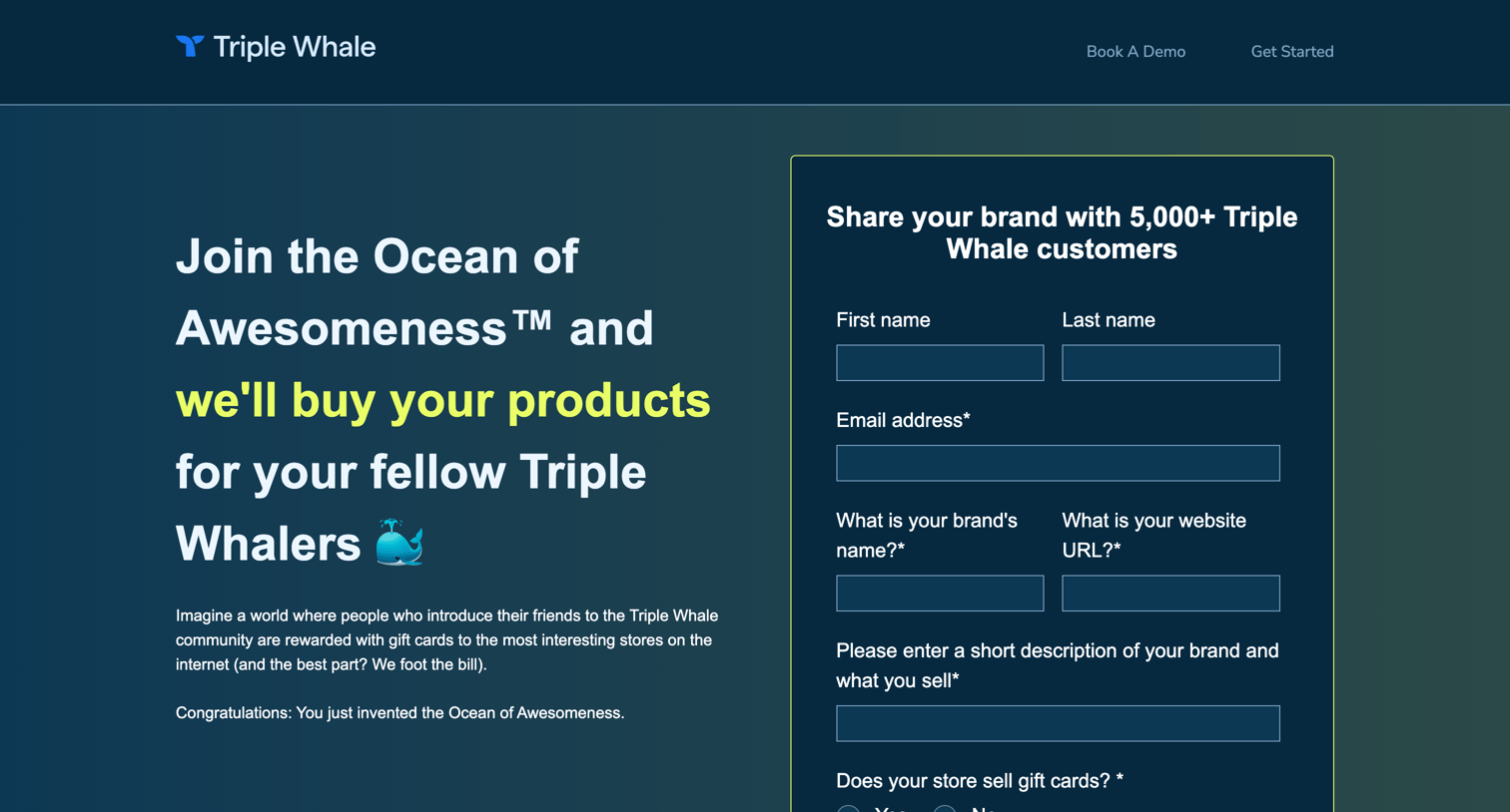 Triple Whale - Ocean of Awesomeness | Triple Whale screen