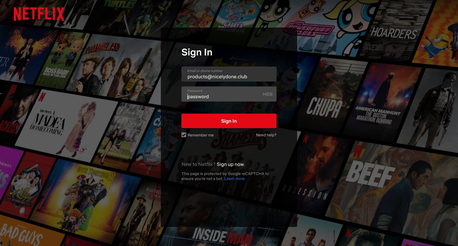 Netflix screen