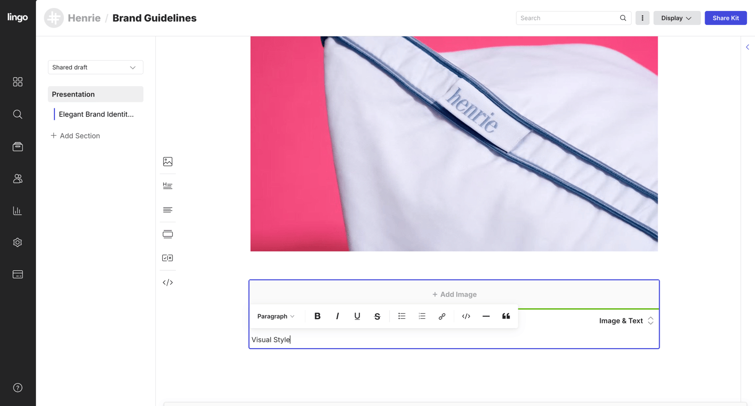 Lingo - Brand Guidelines: Presentation screen