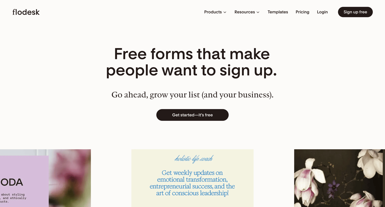 Flodesk - Email Signup Forms | Grow Your Audience with Flodesk screen