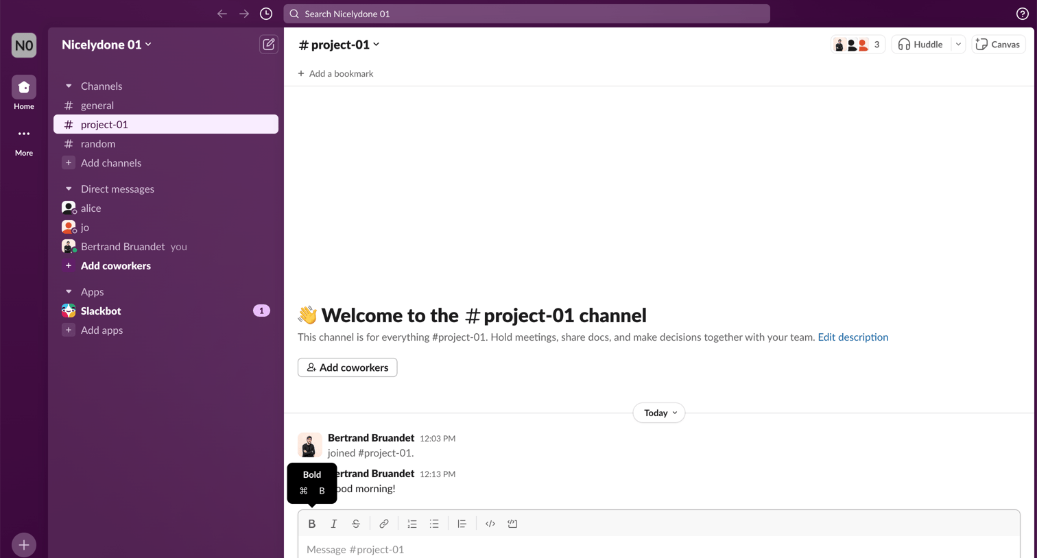 project-01 Channel - Nicelydone 01 - Slack from Slack