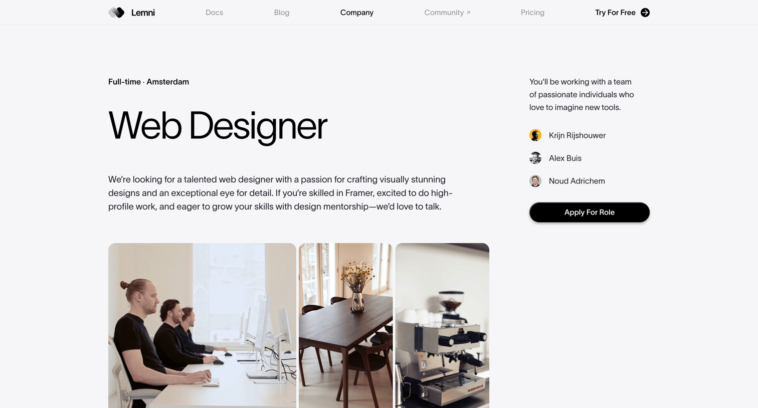Lemni - Lemni · Role › Web Designer screen