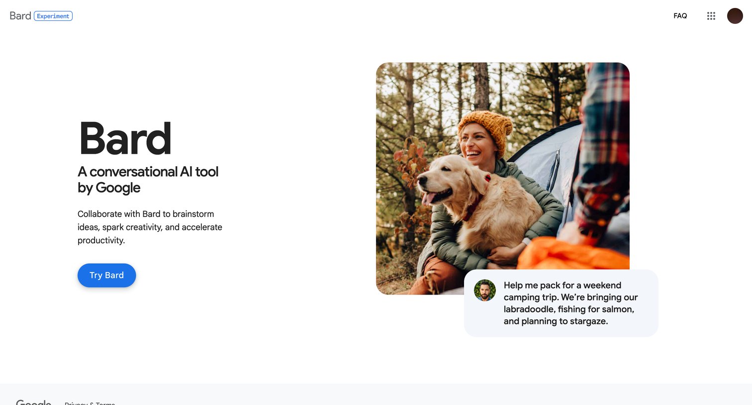 Bard - Bard - Chat Based AI Tool from Google, Powered by PaLM 2 screen
