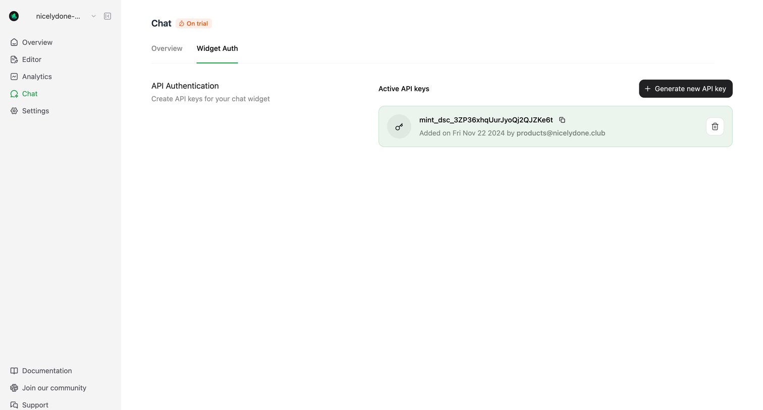 Mintlify - Widget Auth - Mintlify screen