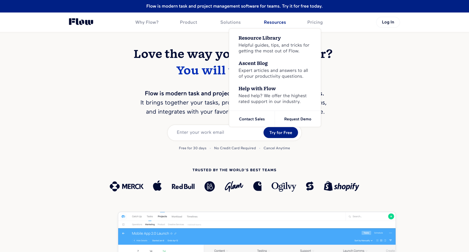 Flow - Flexible Project & Task Management Software for Teams - Flow screen
