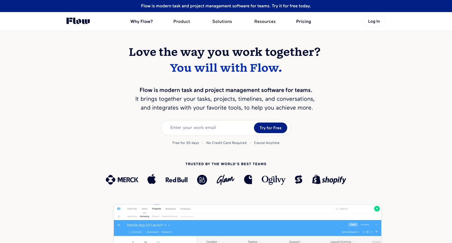Flow - Flexible Project & Task Management Software for Teams - Flow screen
