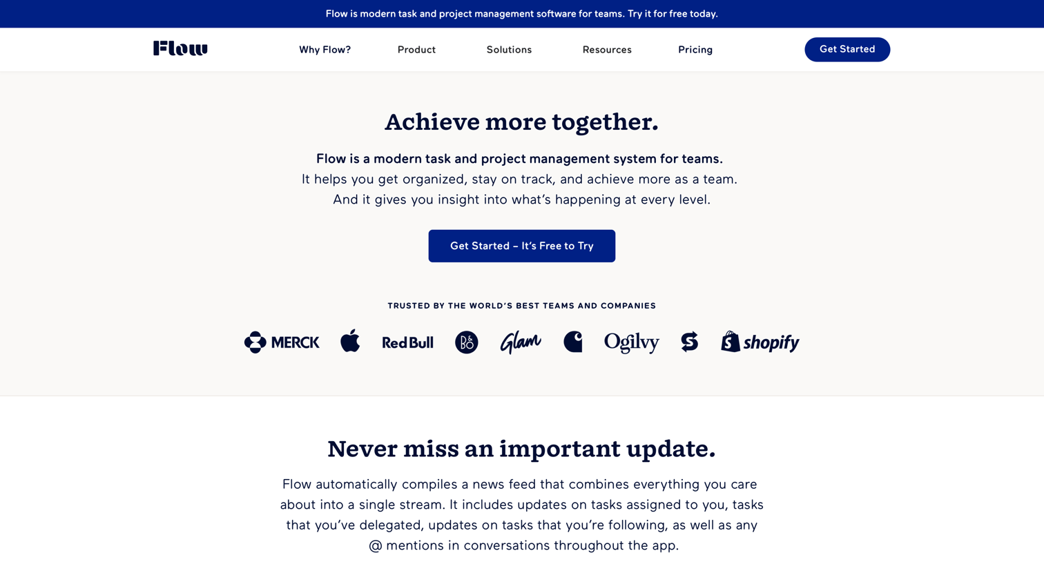 Flow - Comprehensive Project Management System for Teams - Flow screen