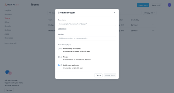 Asana screen