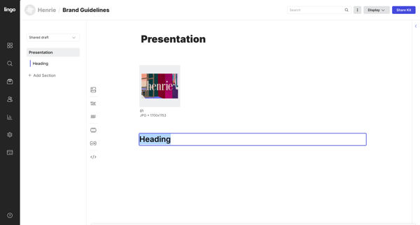 Brand Guidelines: Presentation screen