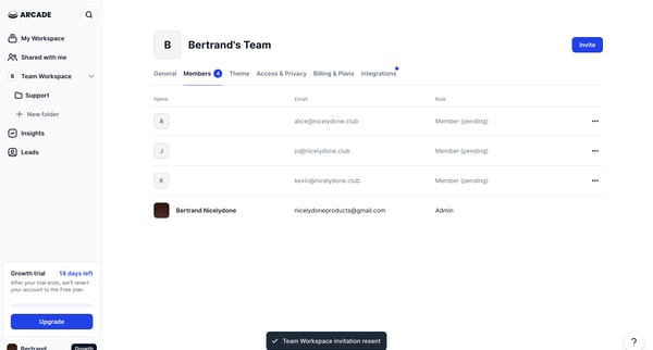 Team Workspace Settings from Arcade